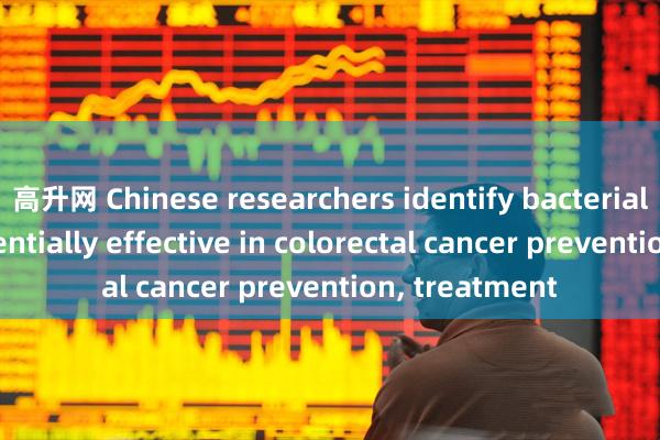 高升网 Chinese researchers identify bacterial therapy potentially effective in colorectal cancer prevention, treatment