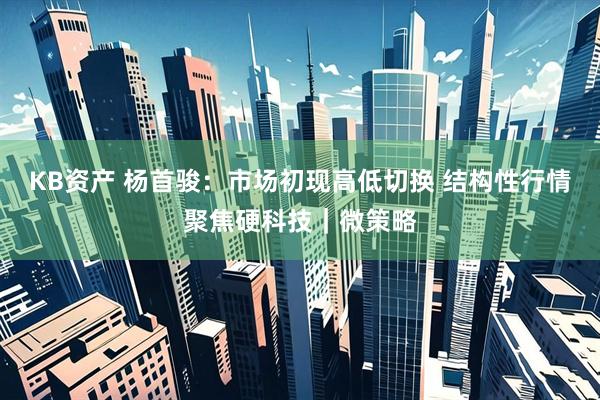 KB资产 杨首骏:市场初现高低切换 结构性行情聚焦硬科技|微策略