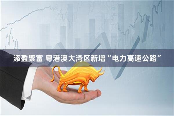 添盈聚富 粤港澳大湾区新增“电力高速公路”