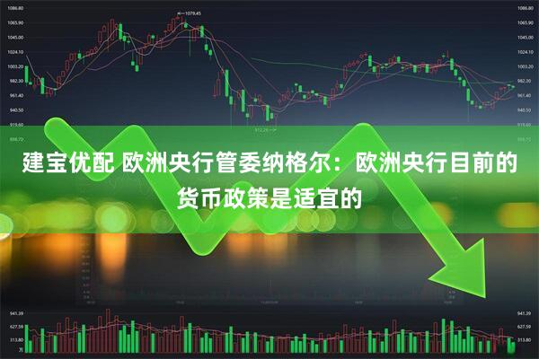 建宝优配 欧洲央行管委纳格尔：欧洲央行目前的货币政策是适宜的