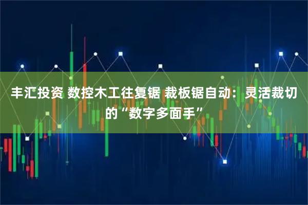 丰汇投资 数控木工往复锯 裁板锯自动：灵活裁切的“数字多面手”