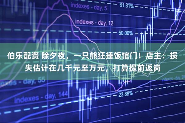 伯乐配资 除夕夜,一只熊狂捶饭馆门!店主:损失估计在几千元至万元,打算提前返岗