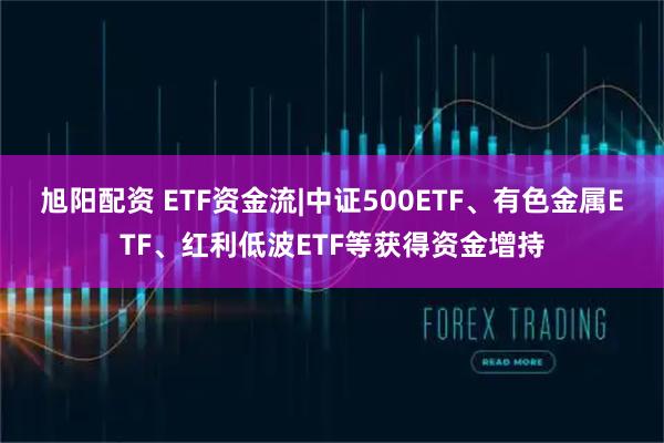 旭阳配资 ETF资金流|中证500ETF、有色金属ETF、红利低波ETF等获得资金增持